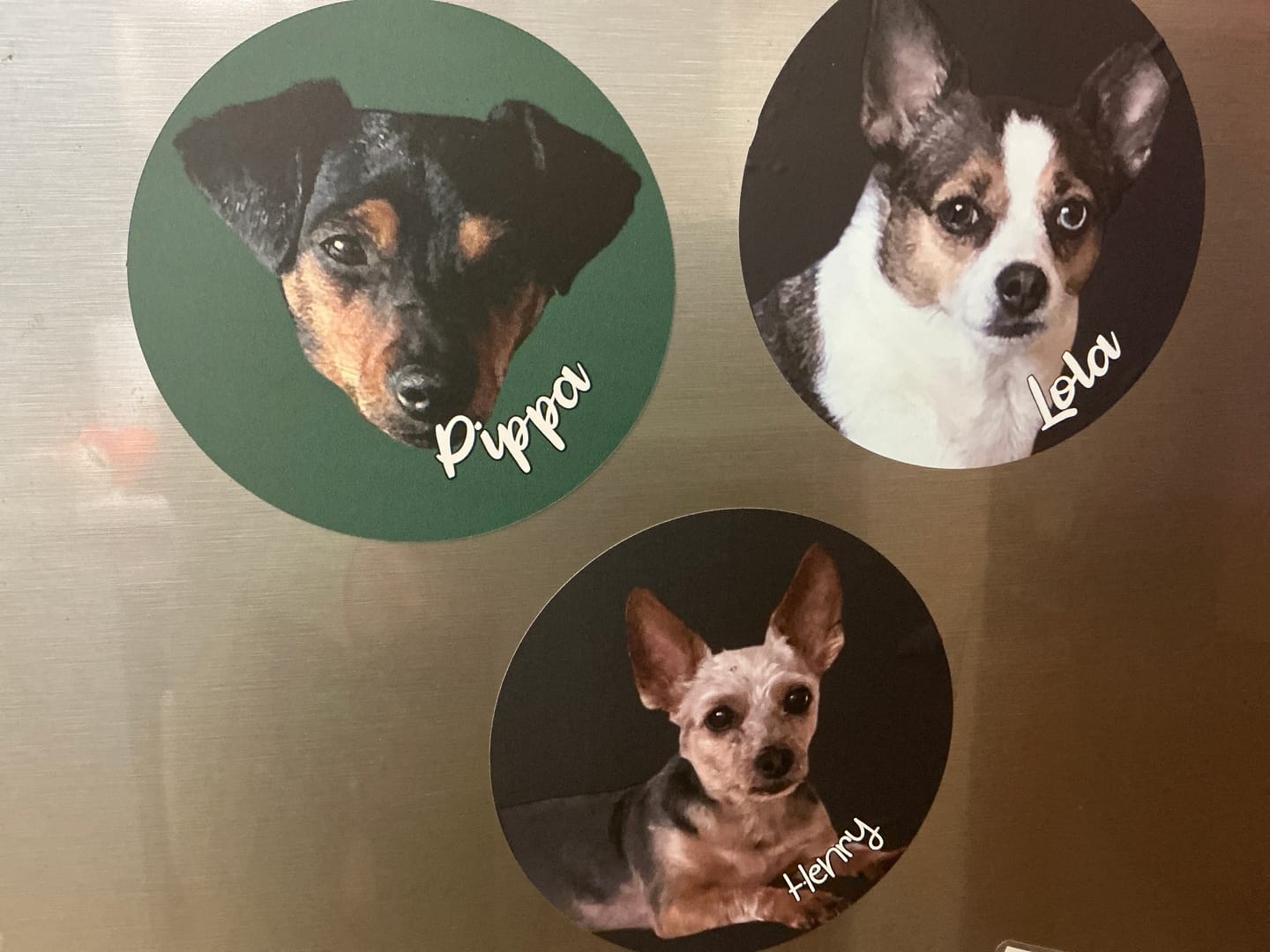 Customer photo review of Your photo - Personalised Car Sticker
