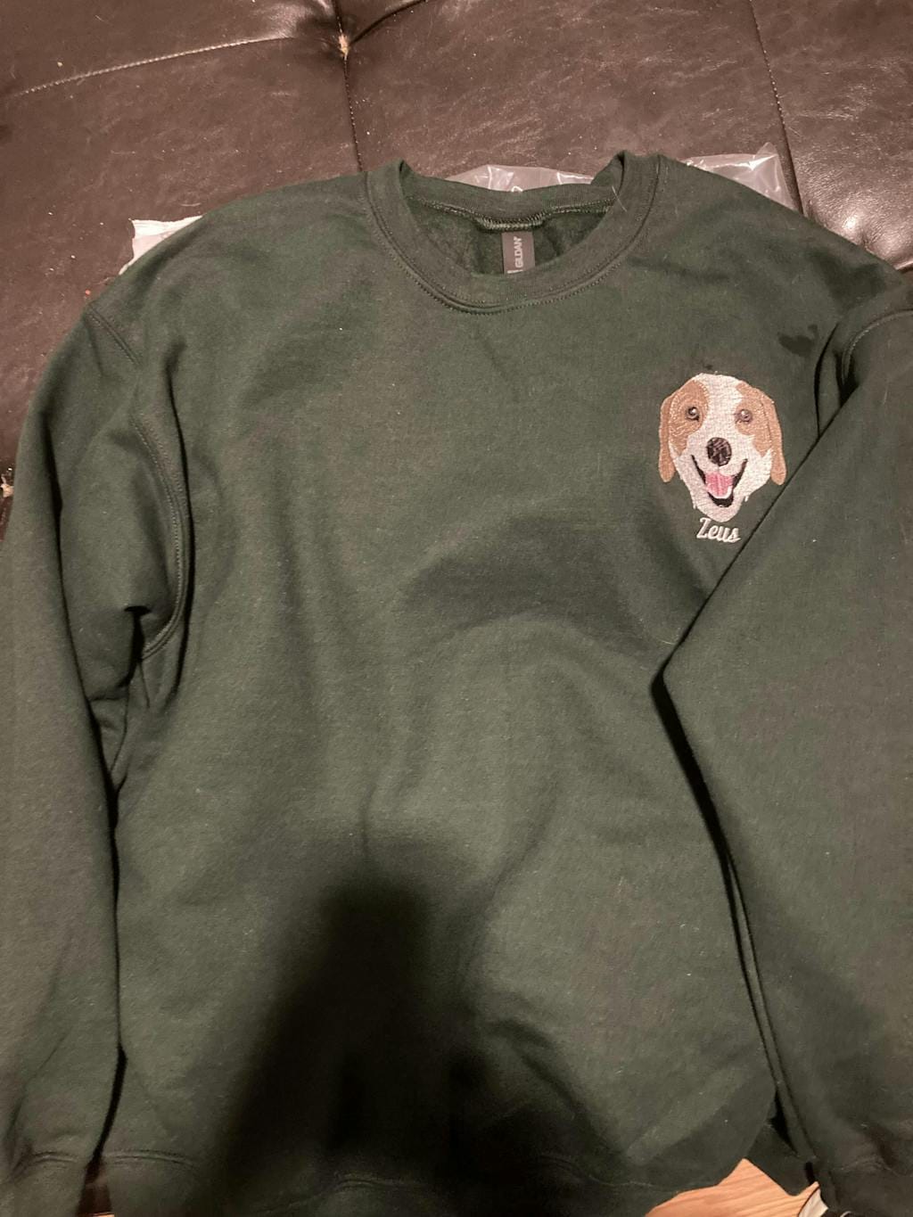Customer photo review of Mystichot Custom Embroidered Pet Sweatshirt