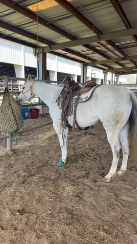 Customer photo review of Hay Chix® Half Bale Net