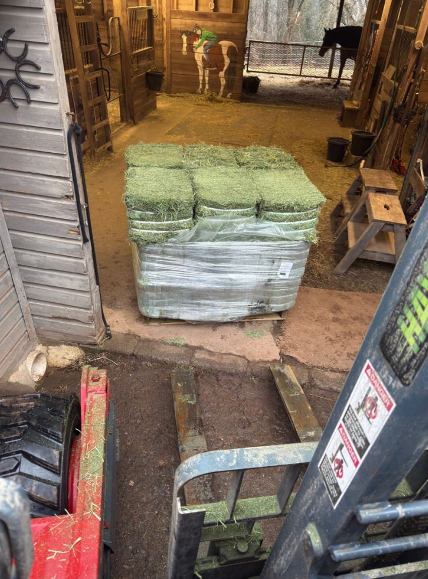 Customer photo review of Timothy Orchard Alfalfa Mix Hay(Click here for Qty Discount)