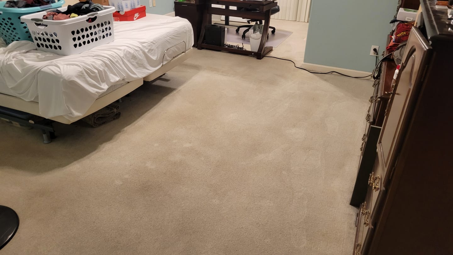 Customer photo review of ~ Releasit Encap-Spot – Encapsulation Carpet Spot Remover and Odor Treatment Encapsulation Carpet (1 Quart)