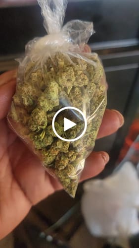 Customer video review of Bulk Indoor Smalls