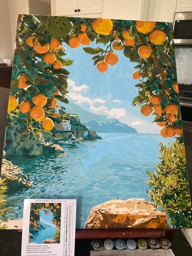 Customer photo review of Lemon Bay