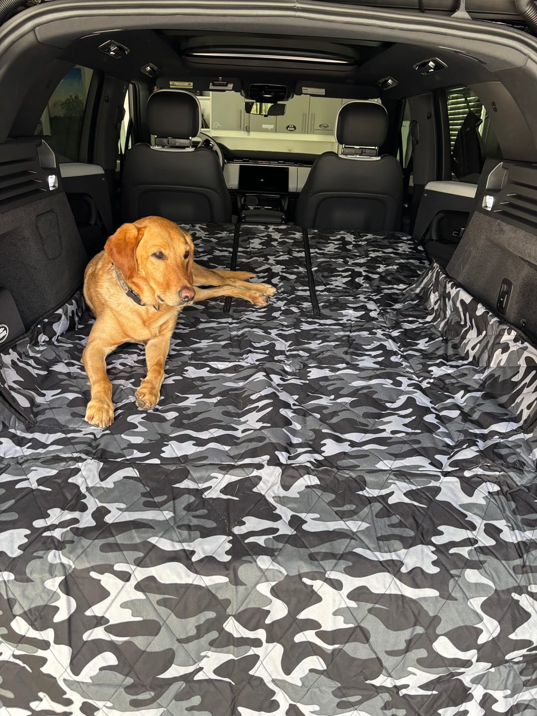 Customer photo review of Dog Rear Seat Cover with Hammock - Regular