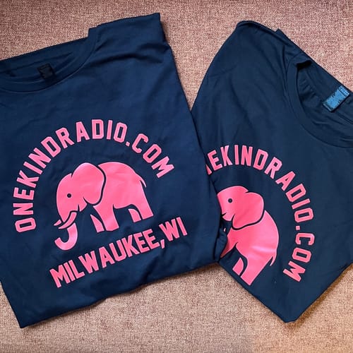 Customer photo review of Gildan Softstyle® 64000 T-Shirt Package (100 Pieces)