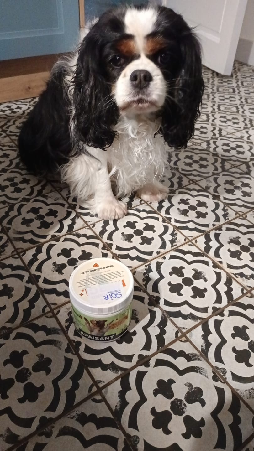 Customer photo review of Friandises Naturelles Immunité et Anti-Démangeaisons