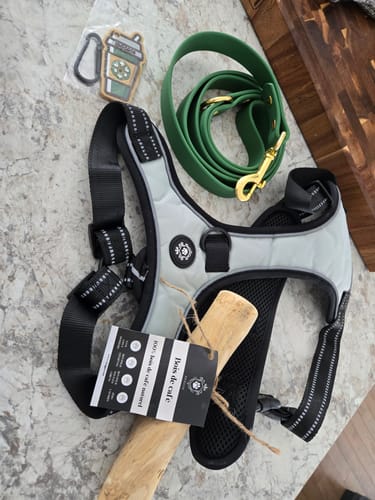 Customer photo review of Mystery Box - Dog