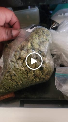 Customer video review of Bulk Mixlight Smalls