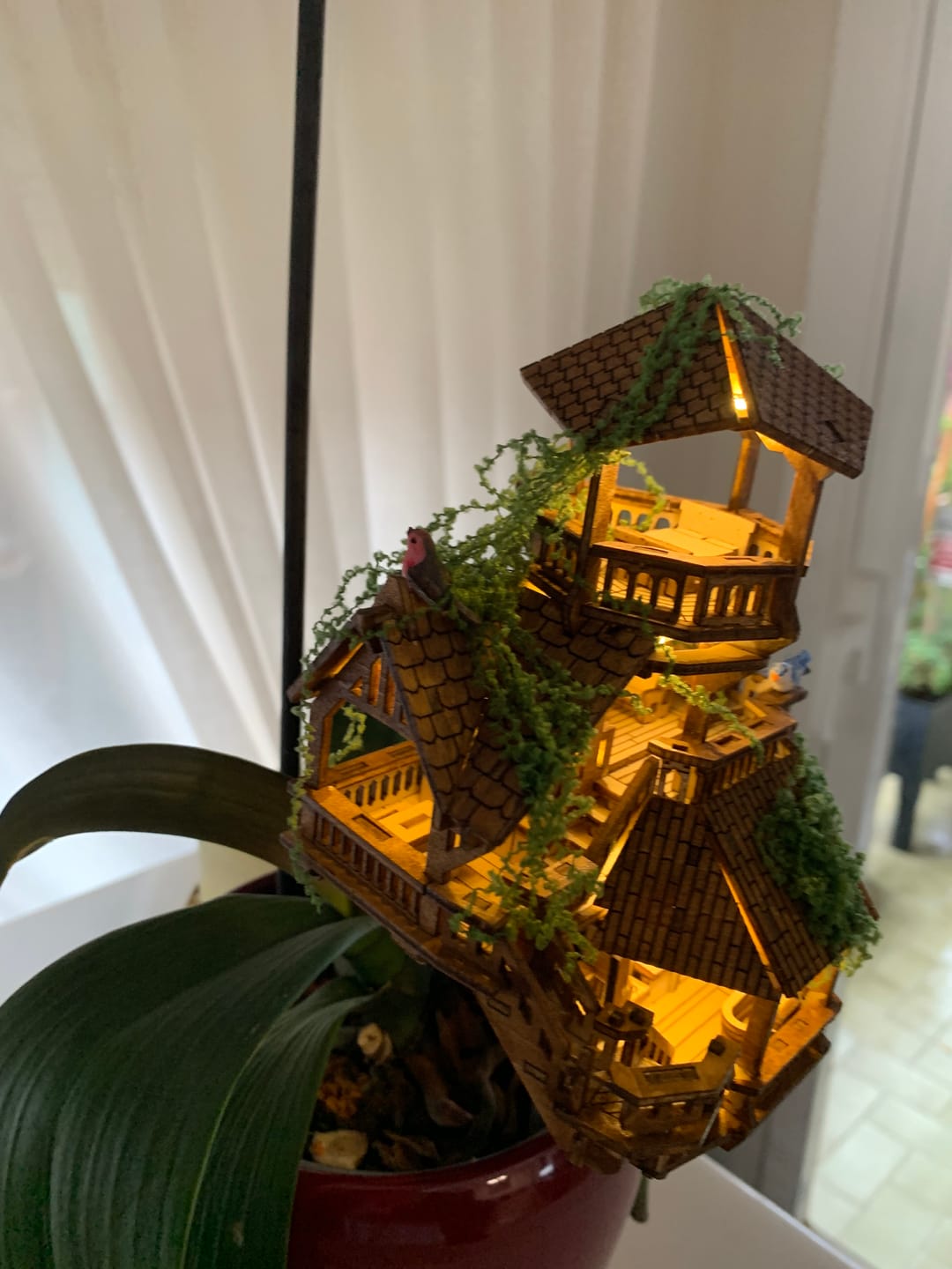 Customer photo review of Island Cabana + Grow Light