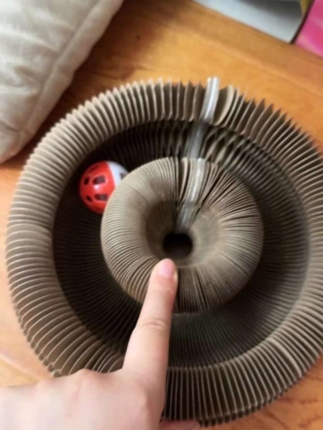 Customer photo review of Pawflex™ Paw Relief