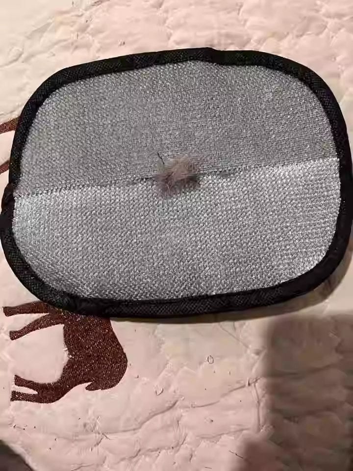 Customer photo review of Extra-Large Static Pet Hair Removal Glove