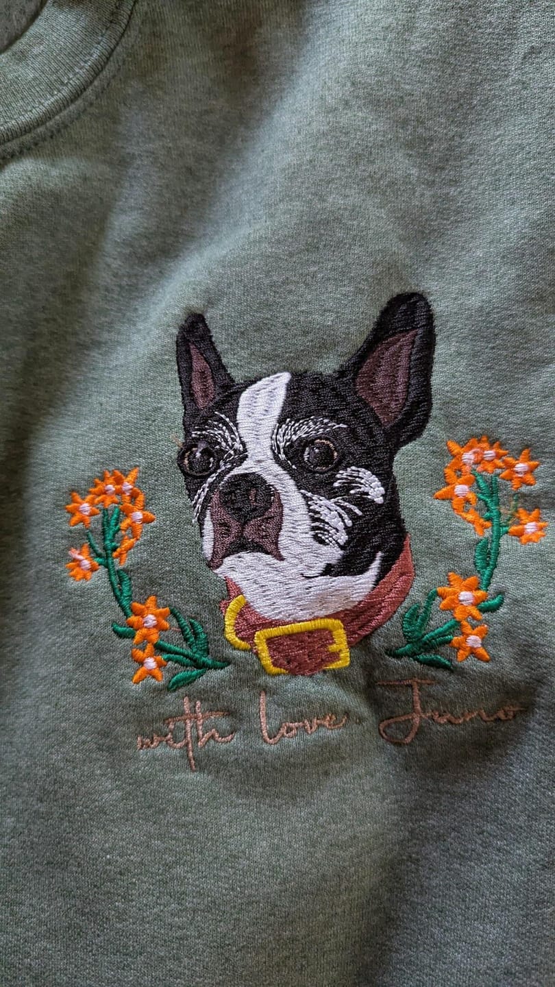 Customer photo review of Mystichot Custom Embroidered Pet Sweatshirt