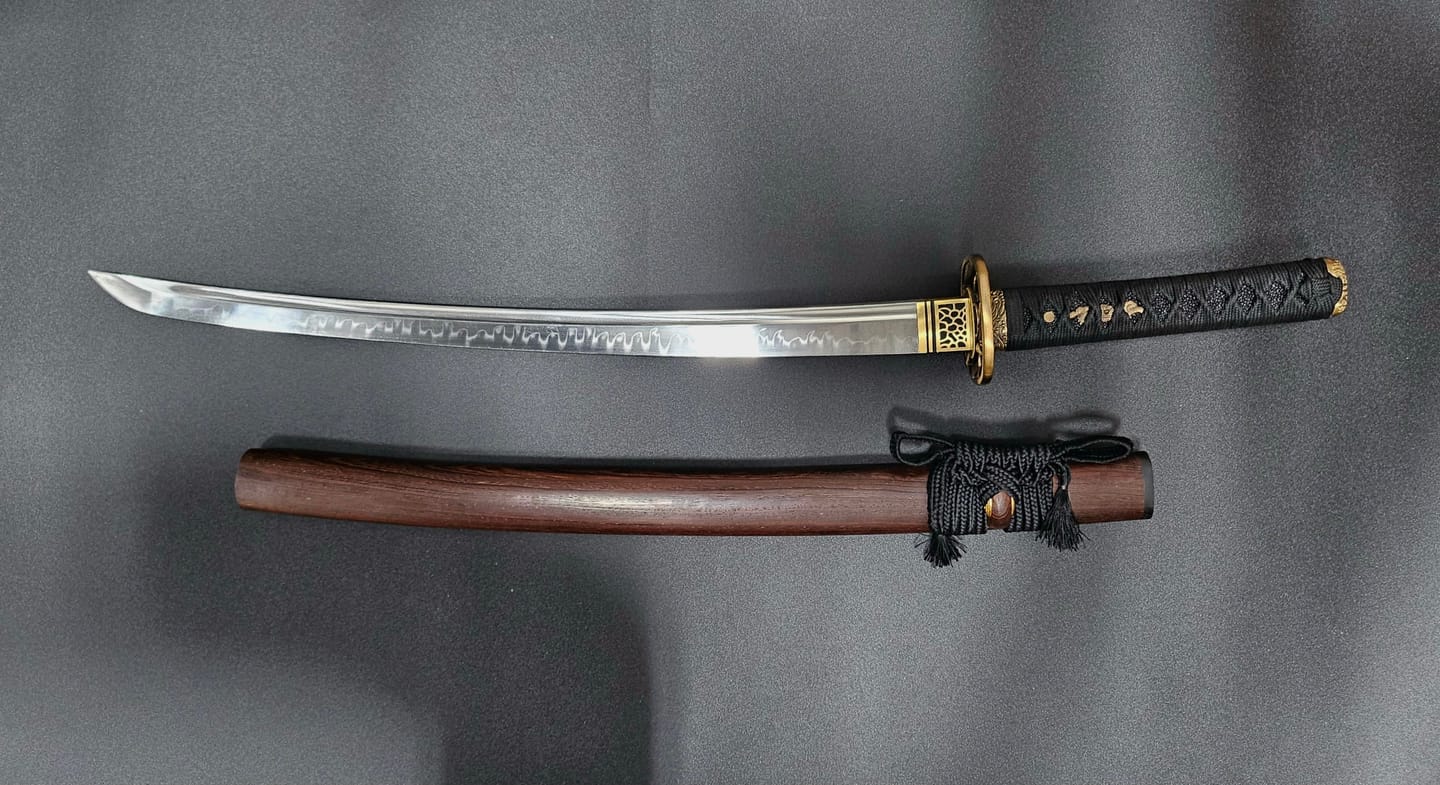 Customer photo review of The Batsusora Handmade Katana Wakizashi Clay Tempered T10 Steel