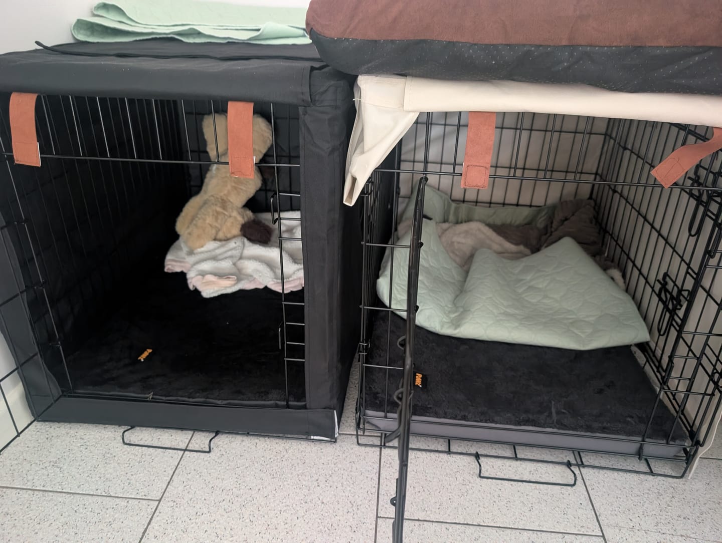 Customer photo review of Foldable Travel Dog Beds