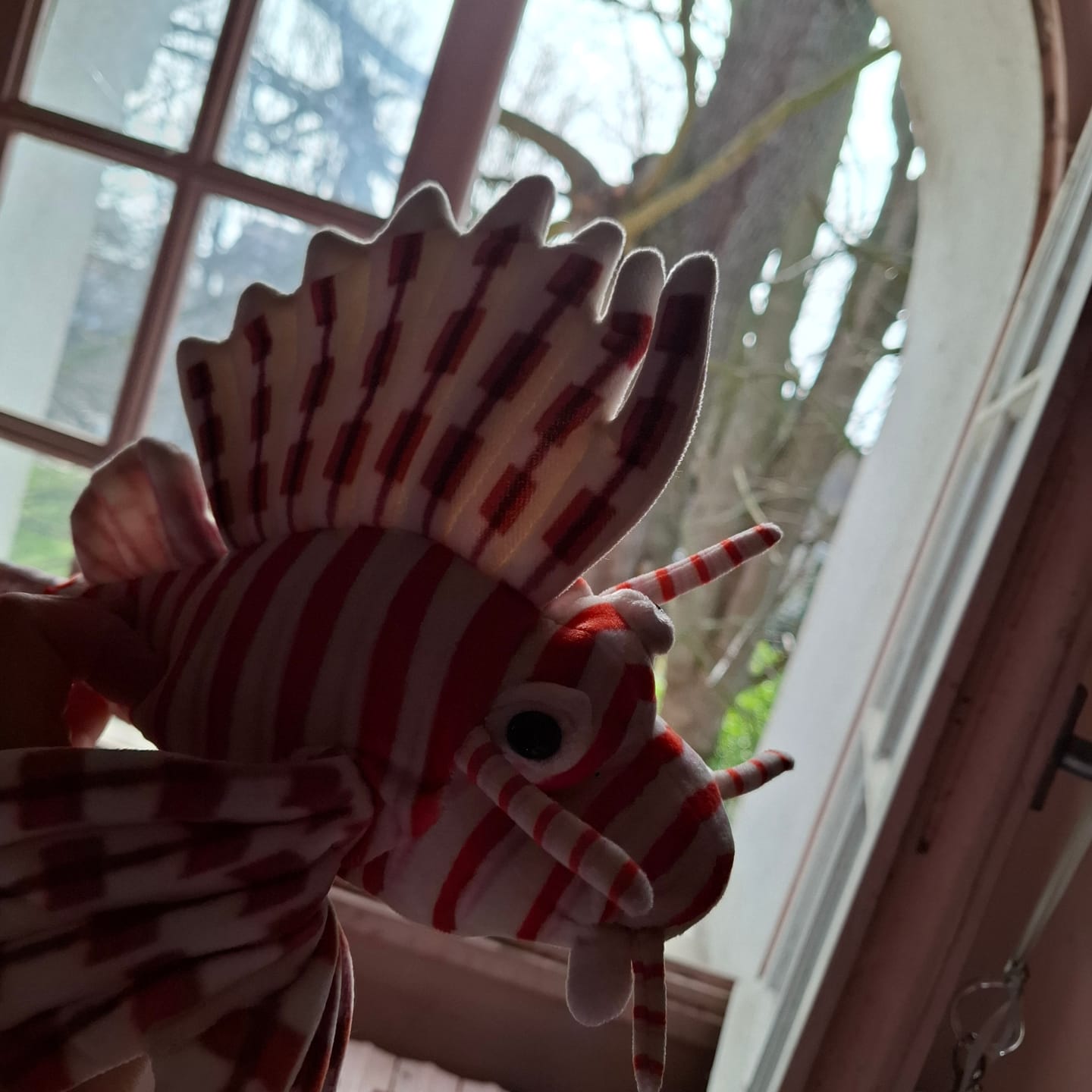Customer photo review of Red Lionfish Soft Stuffed Plush Toy