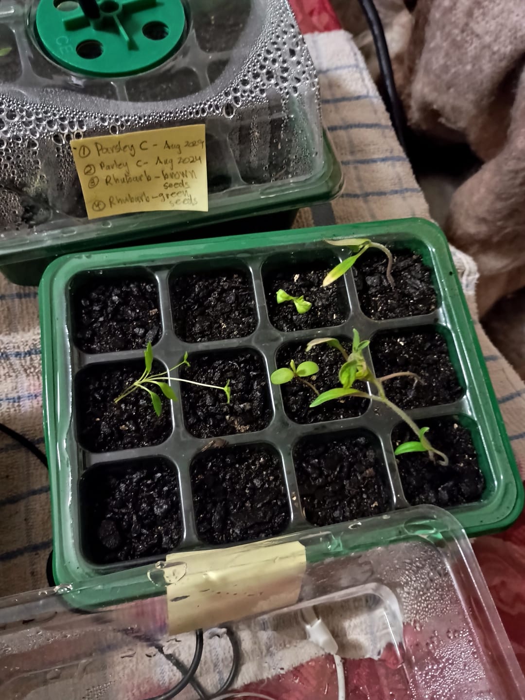 Customer photo review of GardenMate™ - Seed Starter Kit