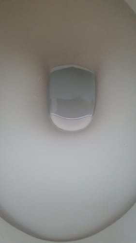 Customer photo review of White Magic Pumice Toilet Bowl Eraser Mega 4 Pack