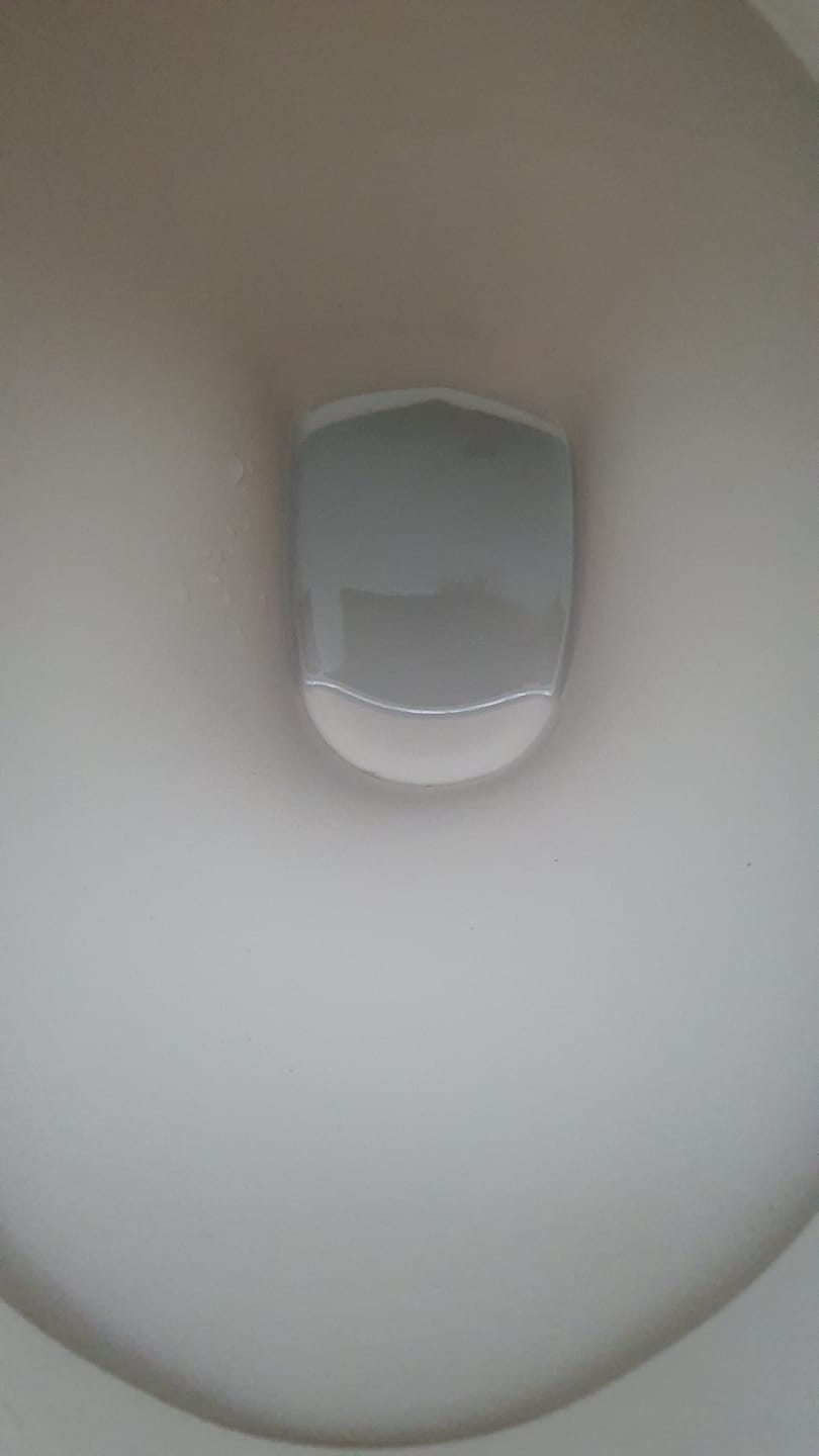 Customer photo review of White Magic Pumice Toilet Bowl Eraser Mega 4 Pack