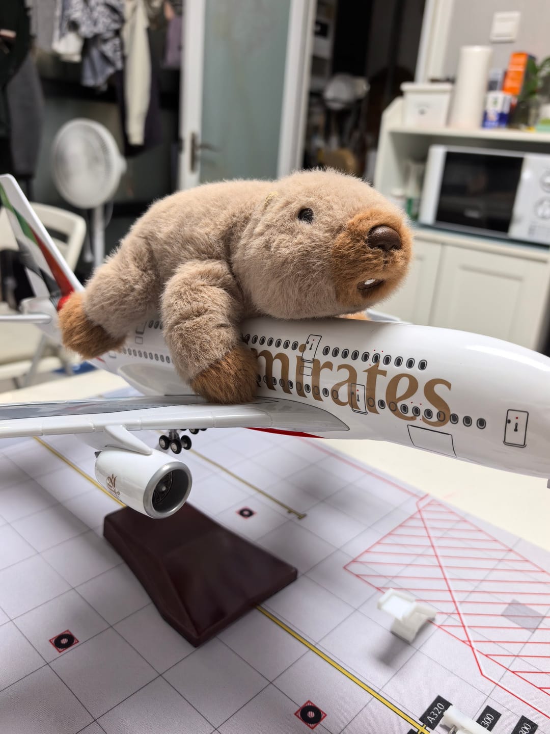 Customer photo review of Emirates A380 Collectible Airplane Model
