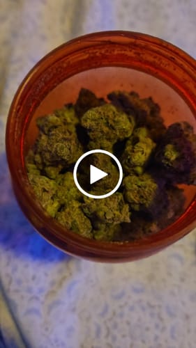 Customer video review of Master Yoda Flower