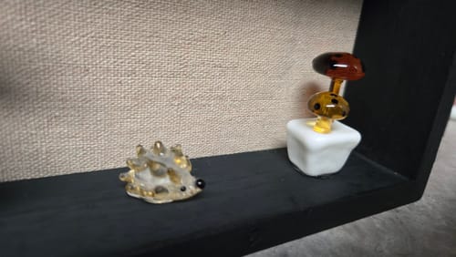 Customer photo review of Tiny Animal 8 Hedgehog