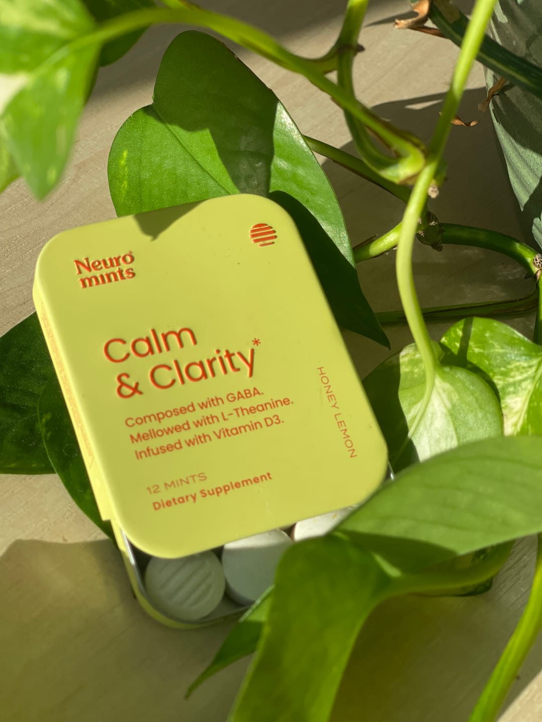 Customer photo review of Calm & Clarity Mints