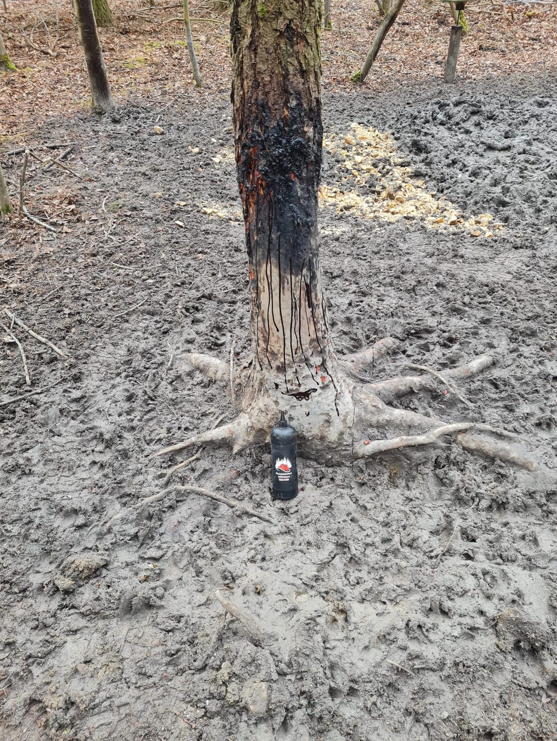 Customer photo review of Teer-Plus Wildlockmittel - Schwarzwild