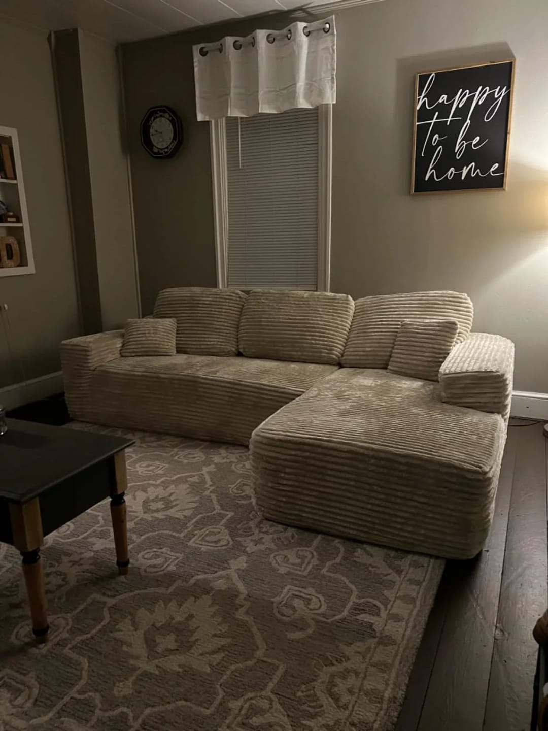 Customer photo review of Viral Boneless Couch