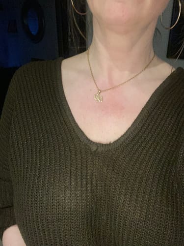 Customer photo review of Interlocking Initials Necklace