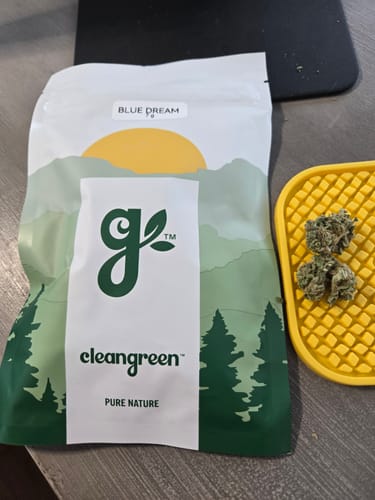 Customer's package of Blue Dream next to two green buds on a yellow tray.