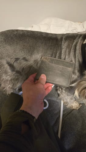 Reviewer holding their vintage gray Tahoe Bifold wallet, with their gray dog in the background.