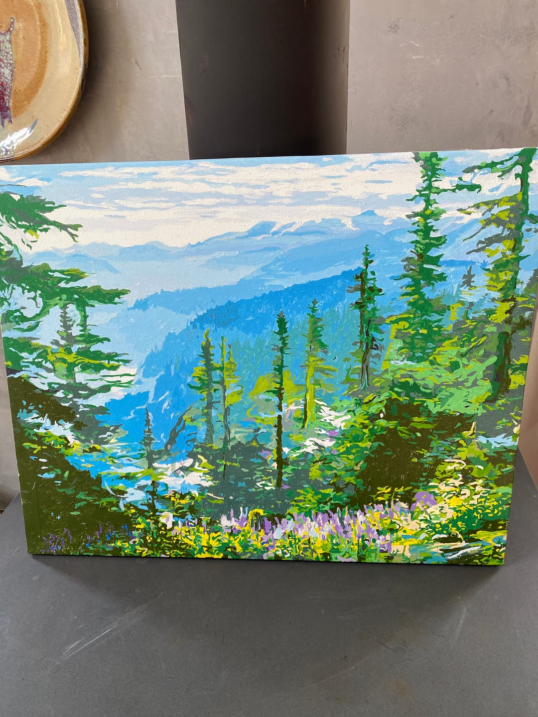Customer photo review of Olympic National Park