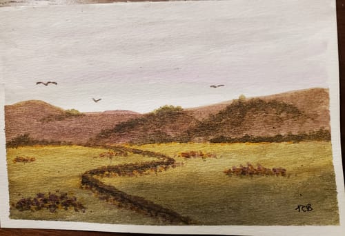 Customer photo review of SketchBox Signature Acrylic Ink Set
