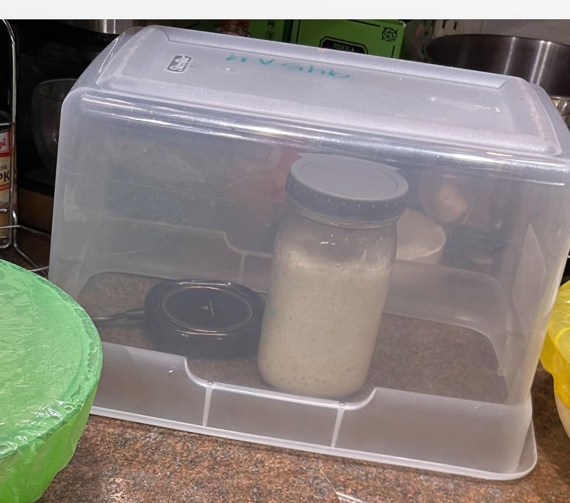 Customer photo review of Living Jin Foods: Sourdough Starter