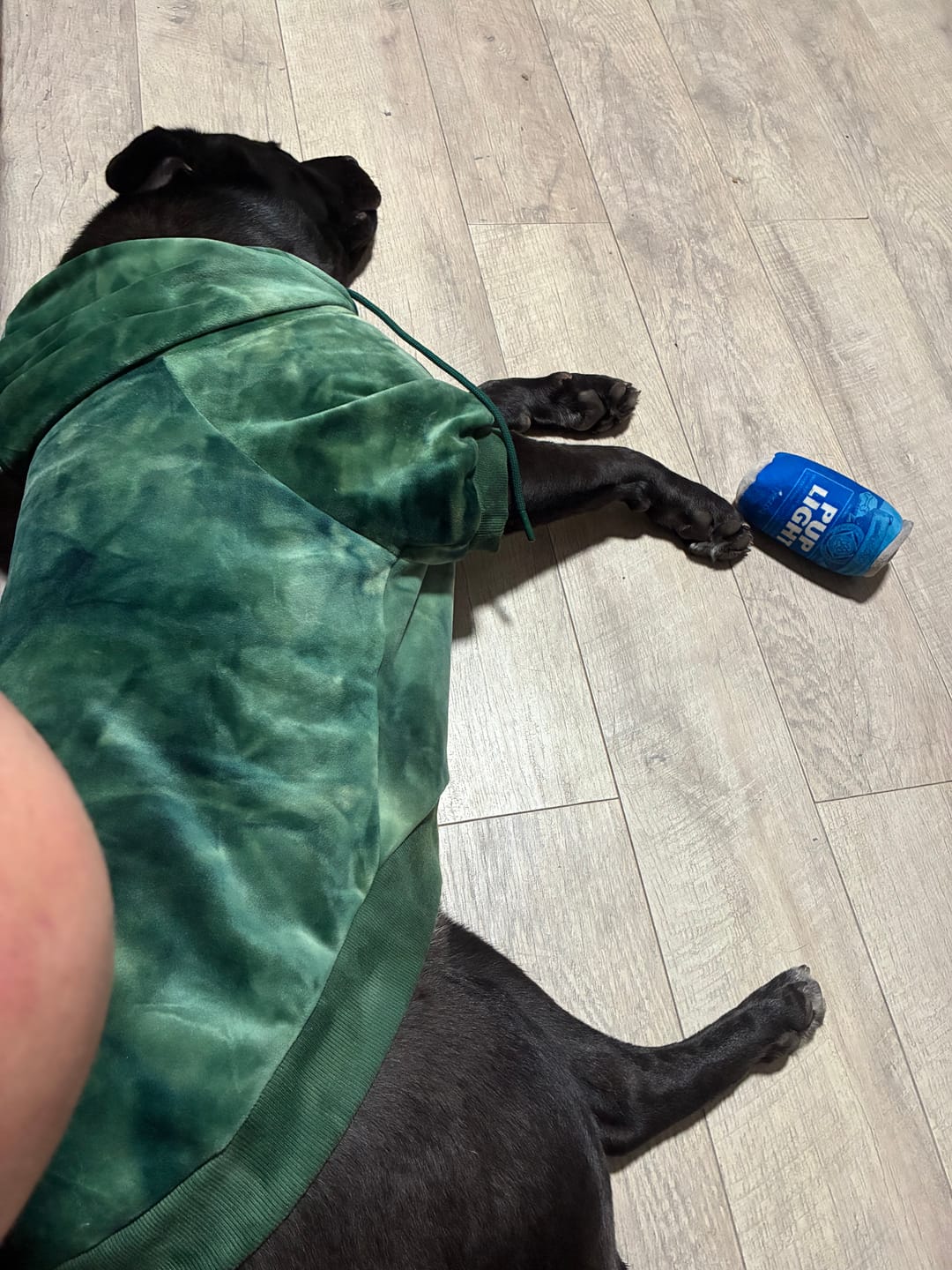 Customer photo review of Velvet Dog Hoodie - Emerald Green
