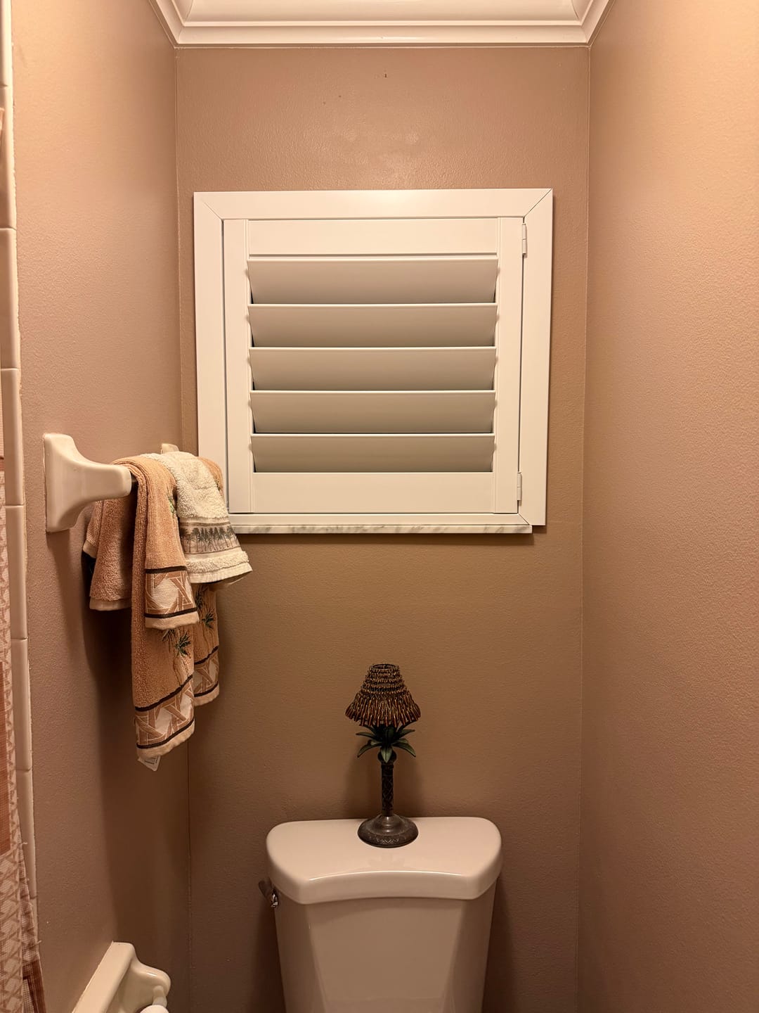 Customer photo review of Economy Polyresin Plantation Shutter