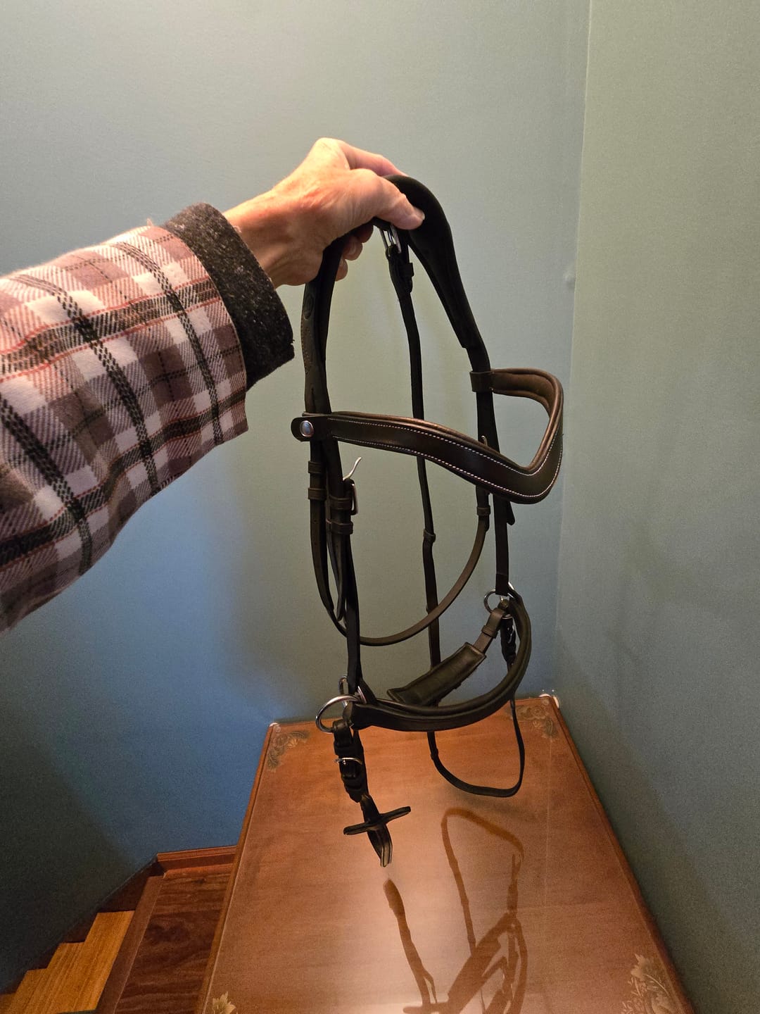 Customer photo review of Chocolate Classic Bitless Bridle