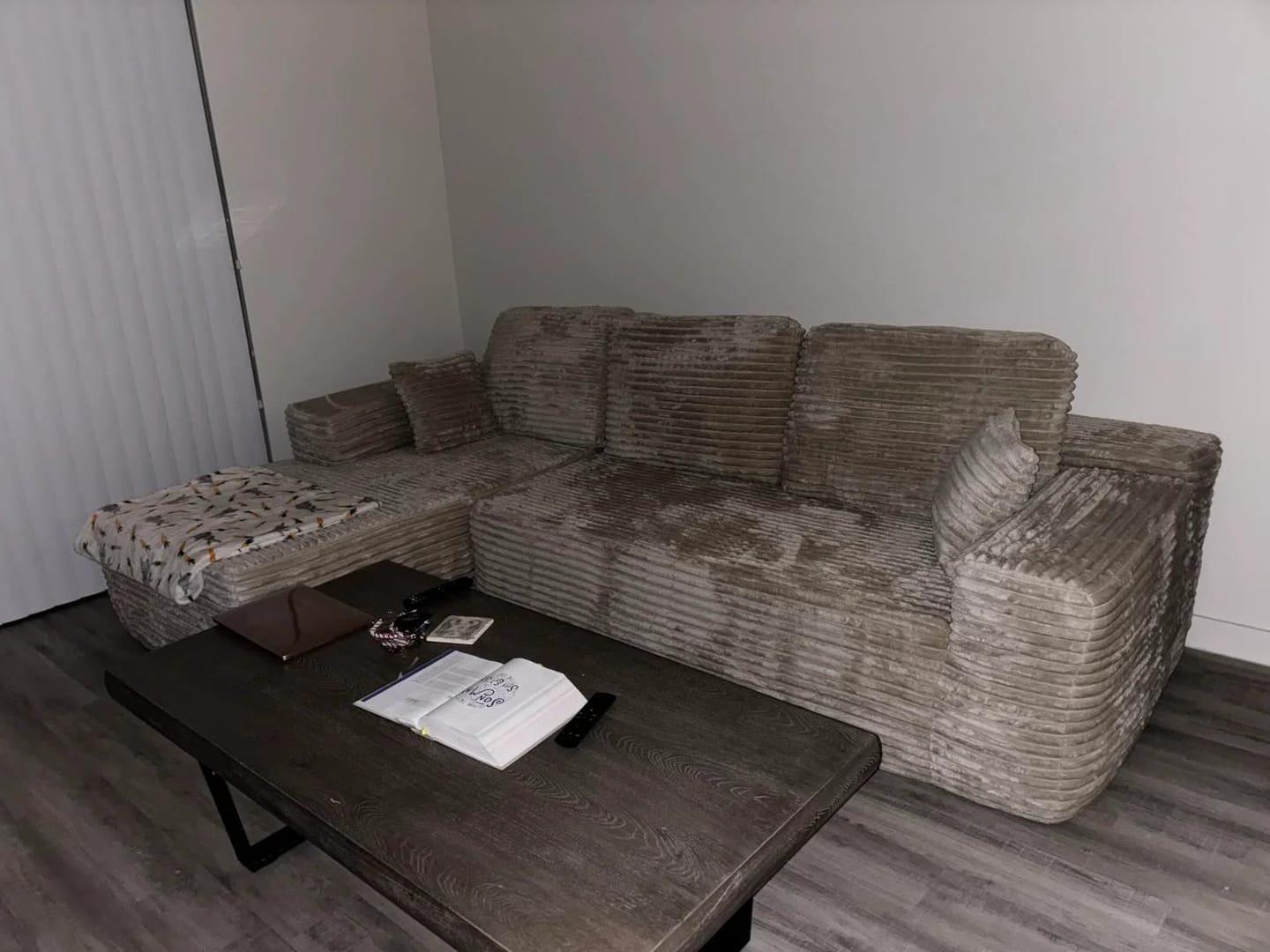 Customer photo review of Viral Boneless Couch