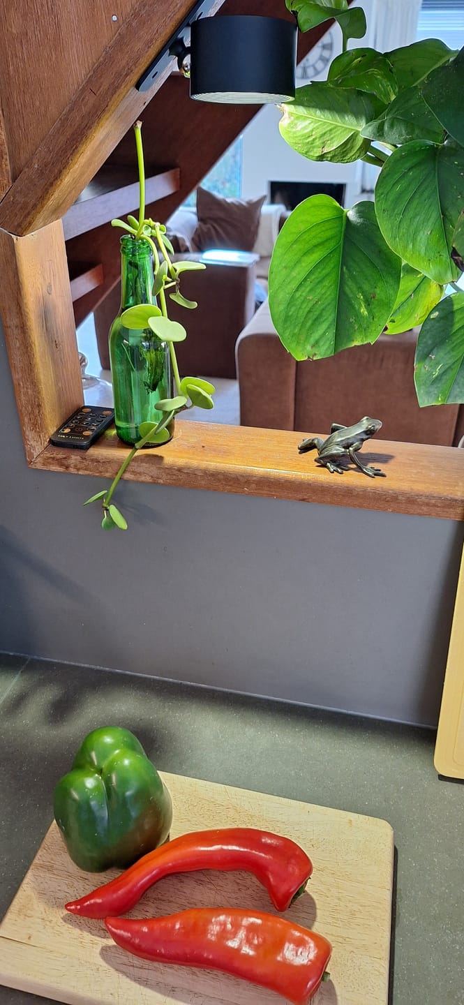Customer photo review of ENDLESS Wandlamp