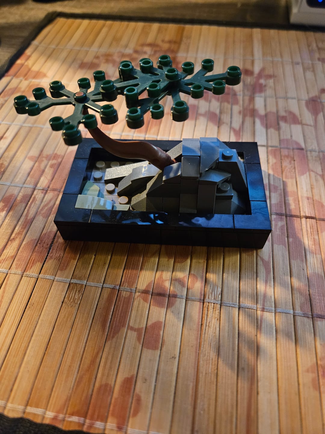Customer photo review of FREE GIFT Set Mini Bonsai