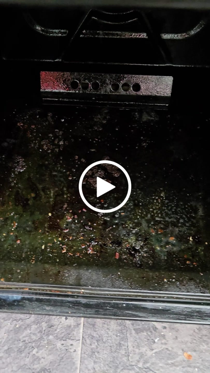 Customer video review of Clean Ya Oven