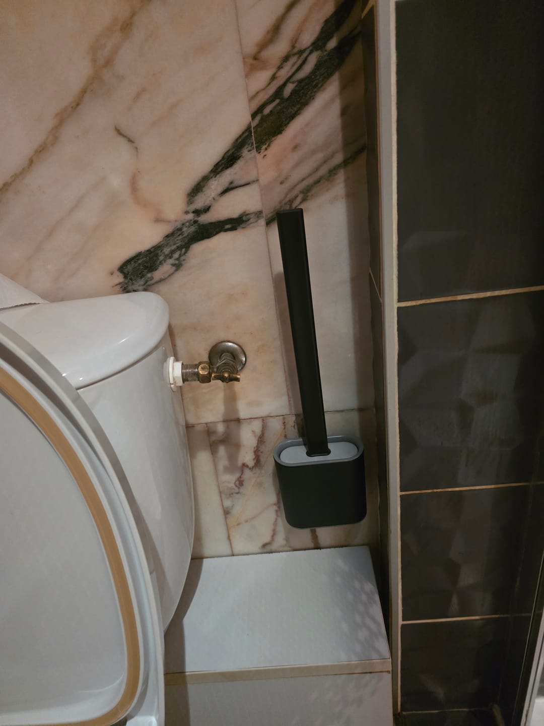 Customer photo review of Brosse de Toilette Performante et Hygiénique en Silicone
