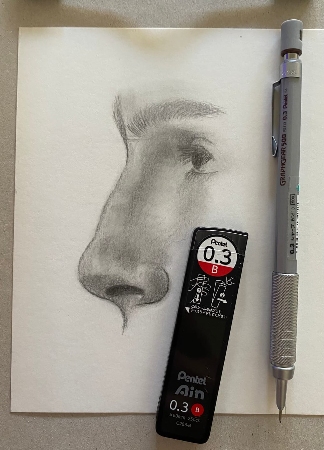 Customer photo review of Pentel - Pack 15 Minas para Portaminas Ain Stein 0,3 mm