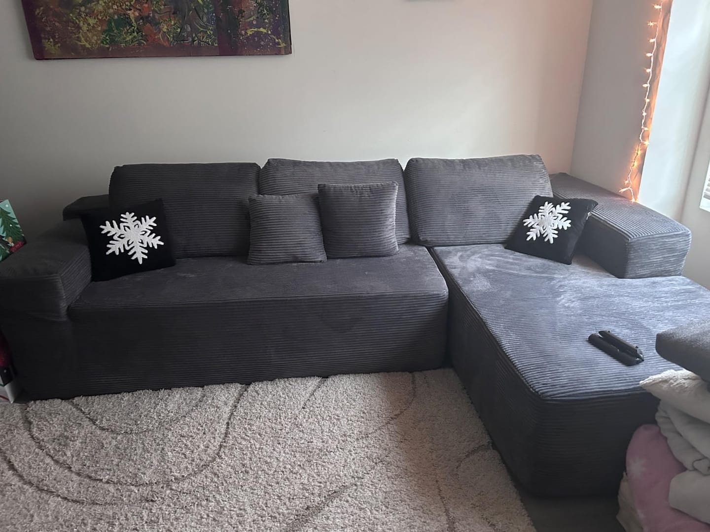 Customer photo review of Viral Boneless Couch