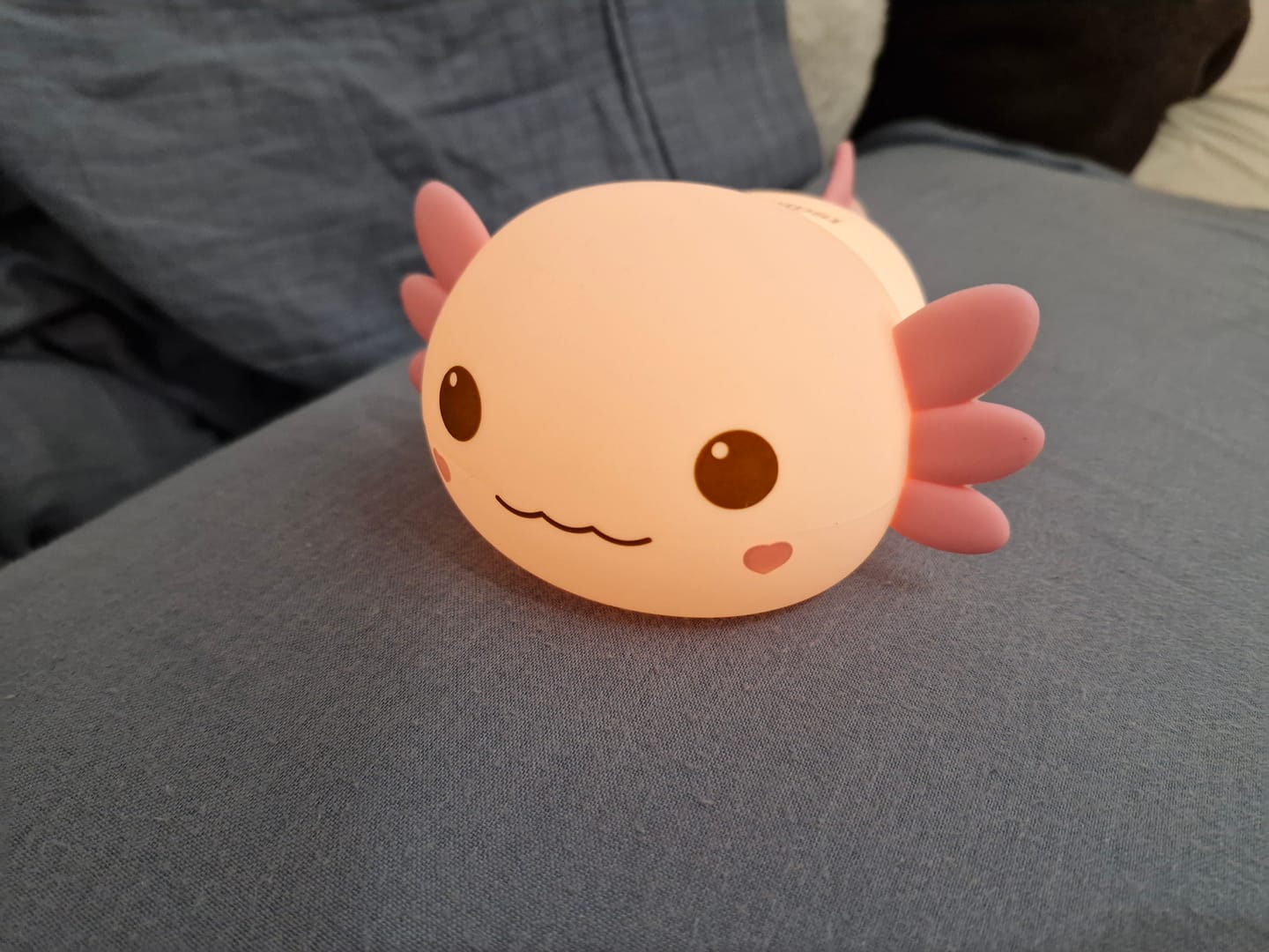 Customer photo review of MeWaii® Axolotl Cute Squishy Night Light - Perfect Gift 🎁