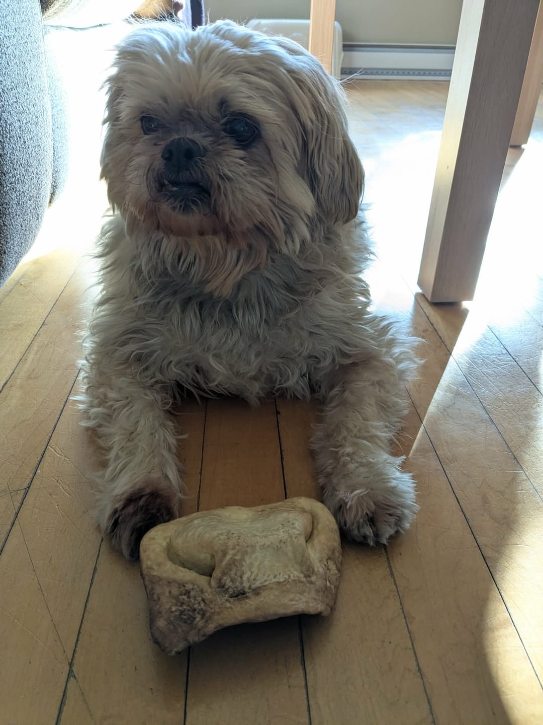Customer photo review of Vrac Nature's Own - Museau de Boeuf pour chien