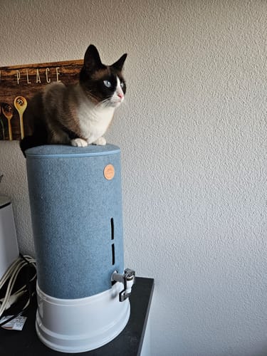 Rezensent zeigt die hellblaue PI®PRIME Öko-Schutzhülle auf einem Wassersystem, auf der eine Katze sitzt.