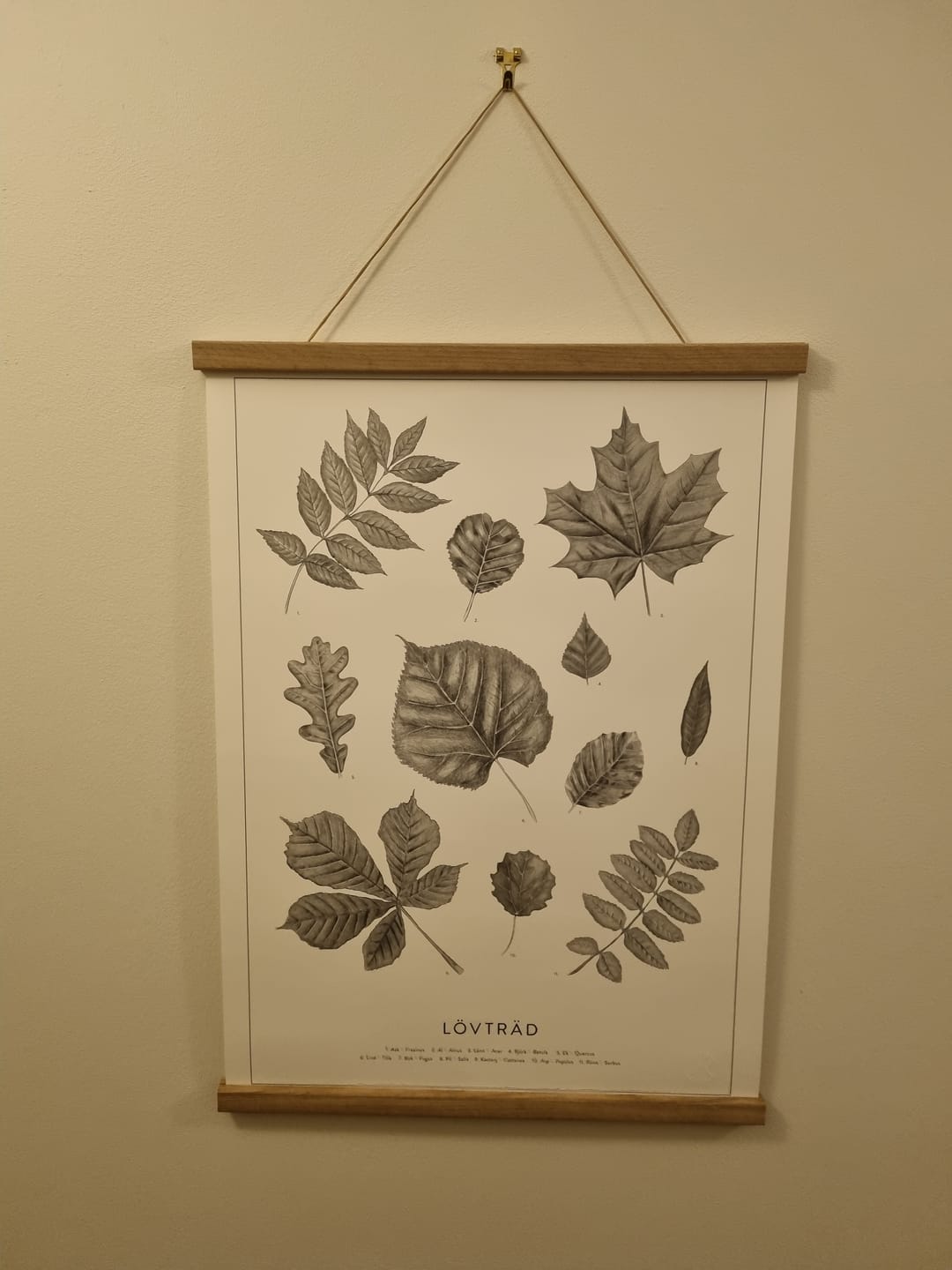 Customer photo review of Lövträd