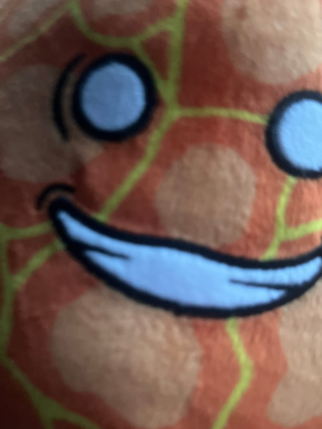 Customer photo review of The SolarBalls Sun Plush