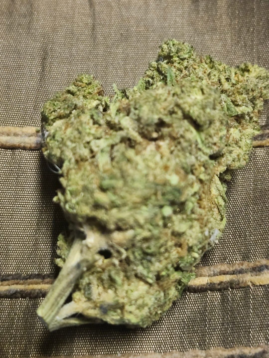 Customer photo review of Gush Mintz Light Assist THCA